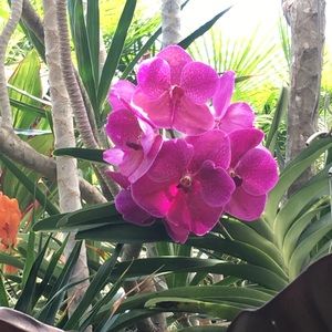 Meet your Posher, Janelle